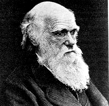 Charles Darwin